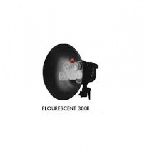 Tronic Fluorescent 300R